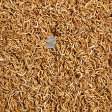 Load image into Gallery viewer, Live Mealworms 250Ct - 10,000Ct (S,M,L)