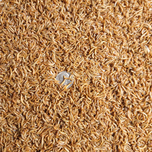 Load image into Gallery viewer, Live Mealworms 250Ct - 10,000Ct (S,M,L)